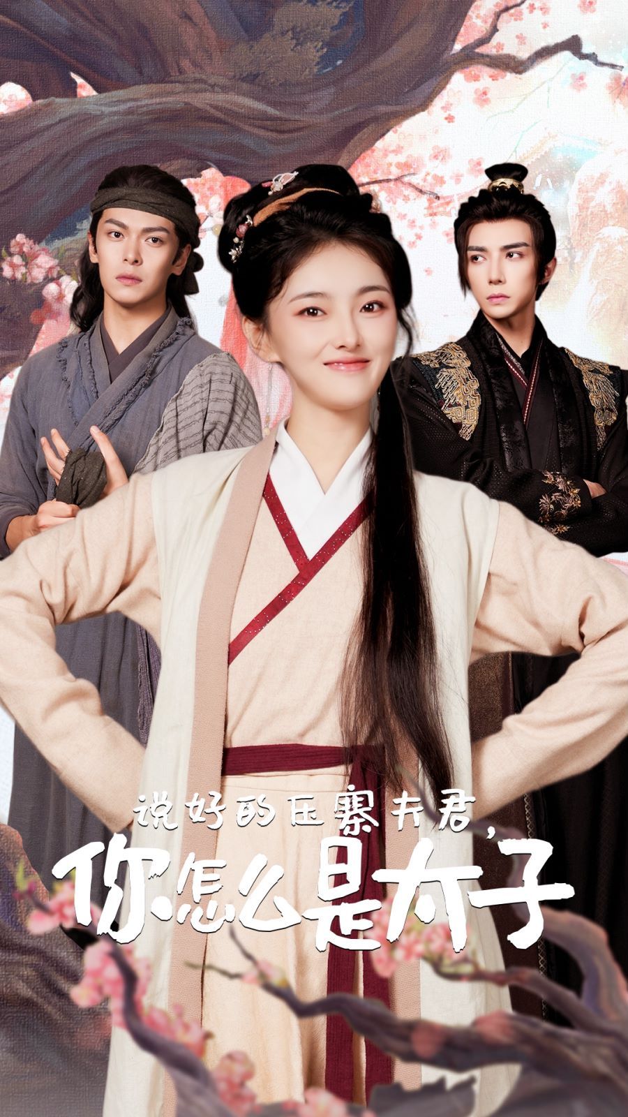 说好的压寨夫君，你怎么是太子 全集(大结局)