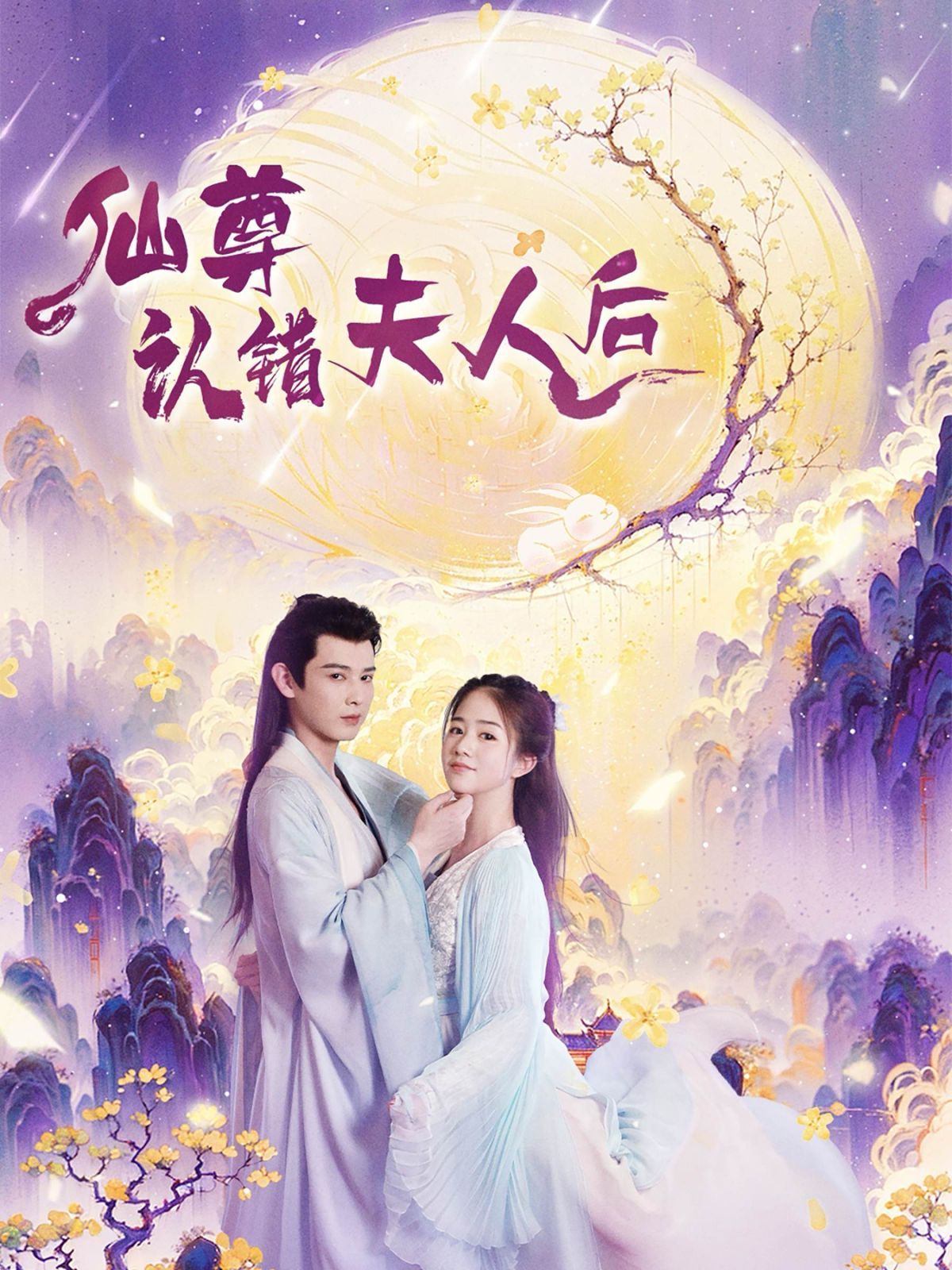 仙尊认错夫人后 全集(大结局)