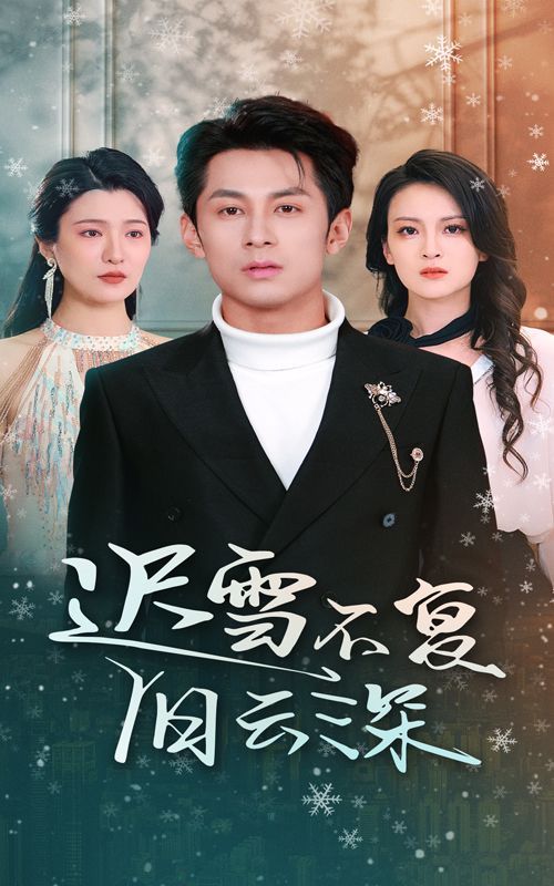 迟雪不复旧云深（当年明月，负尽深雪） 第1-20集