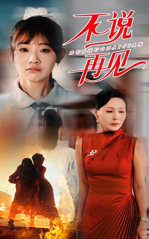 不说再见 全集