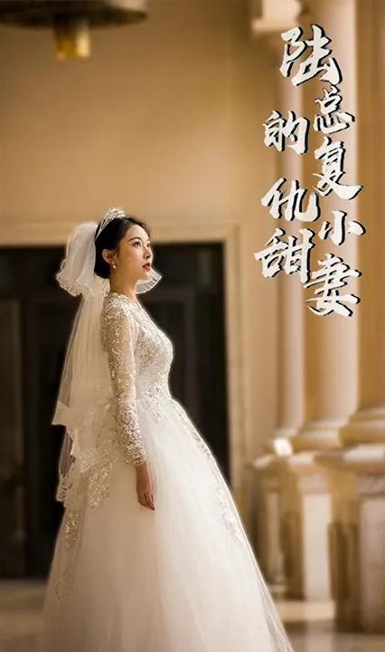 陆总的复仇小甜妻 21-40集